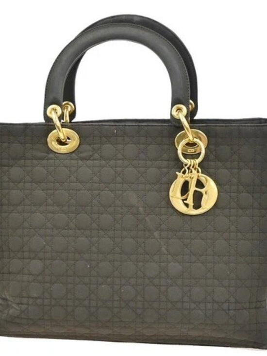 DIOR Handbags - CHRISTIAN DIOR Logo Lady Cannage Hand Bag Nylon Leather Brown GHW Italy 70KC638